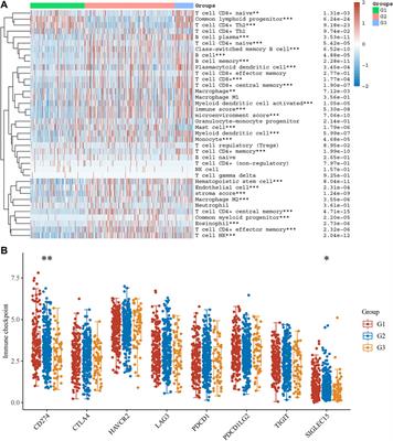 Systematic Analysis of Stress Granule Regulators-Associated Molecular Subtypes Predicts Drug Response, Immune Response, and Prognosis in Non-Small Cell Lung Cancer